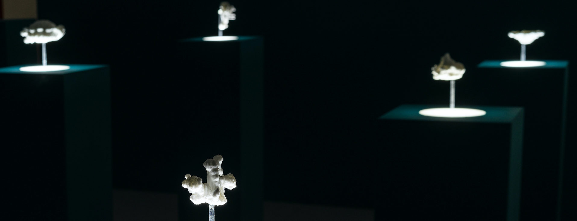 Portfolio for Blanca Perez Ferrer